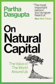 On Natural Capital